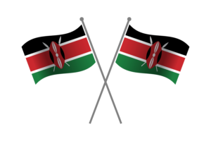 Kenya Friendship Flag flag
